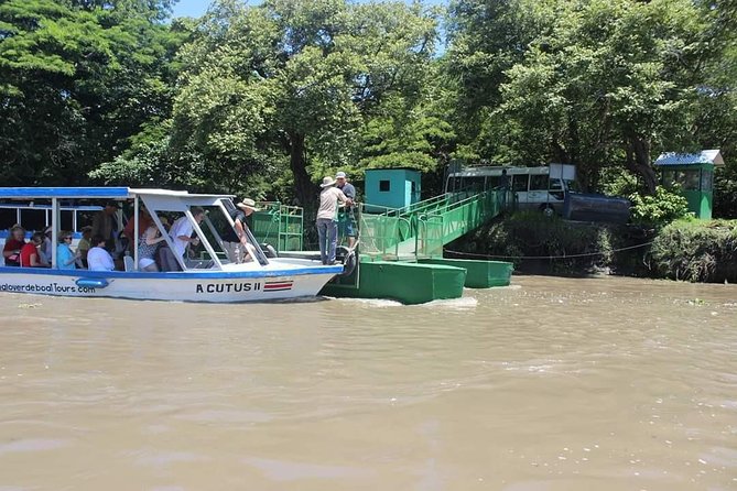Wildlife Safari Tour - Booking and Reservation Details