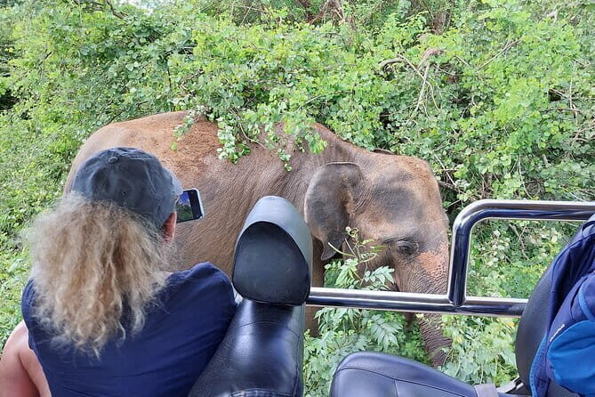 Wildlife Safari Yala National park - Good To Know