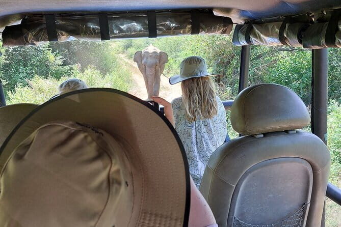 Wildlife Safari Yala National park - Who Should Consider This Tour?