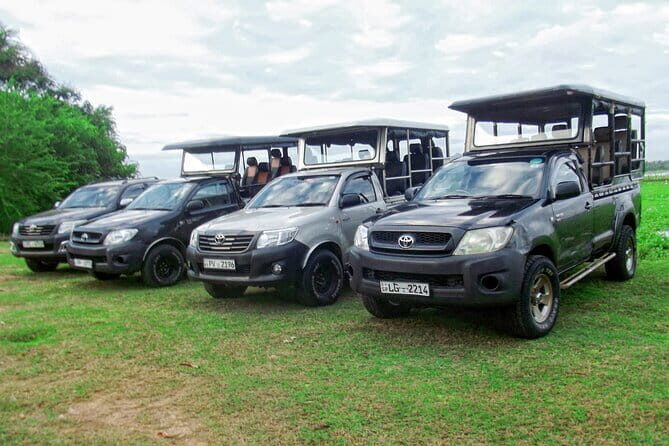 Wildlife Safari Yala National park - Final Thoughts