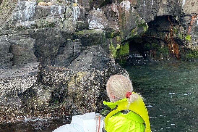 Wildlife, Scenery and Cave Exploring Tour! - Inclusions