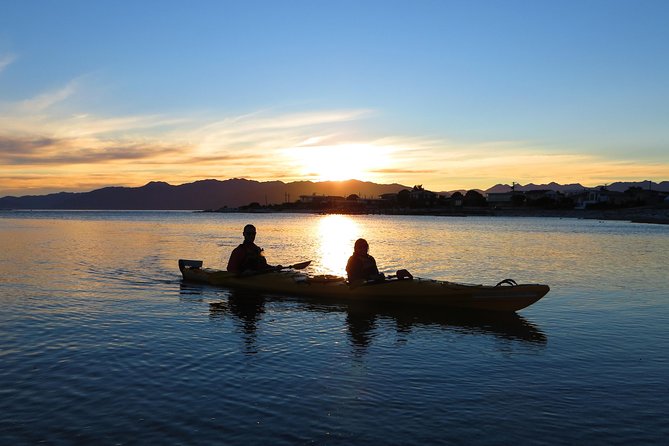 Wildlife Sea Kayaking Tour - Kaikoura - Experience the Wildlife of Kaikoura