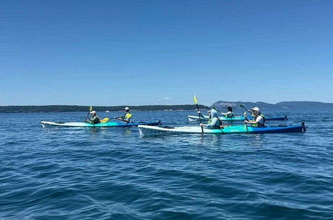 Wildlife Spotting Kayak Adventure on Orcas Island - Final Thoughts