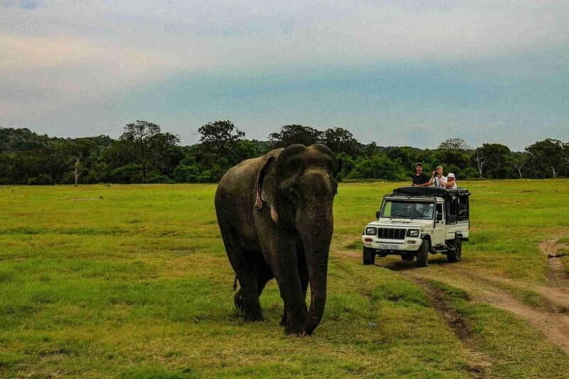 Wildlife Sri Lanka: 10-Day All-Inclusive Luxury Tour - FAQ