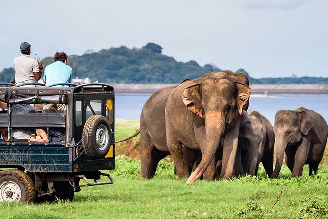 Wildlife Sri Lanka Tour 10 Days - Pricing and Options