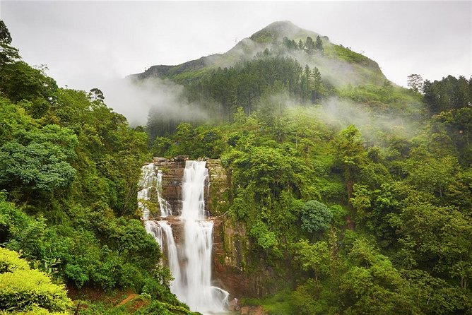 Wildlife Sri Lanka Tour 10 Days - Inclusions