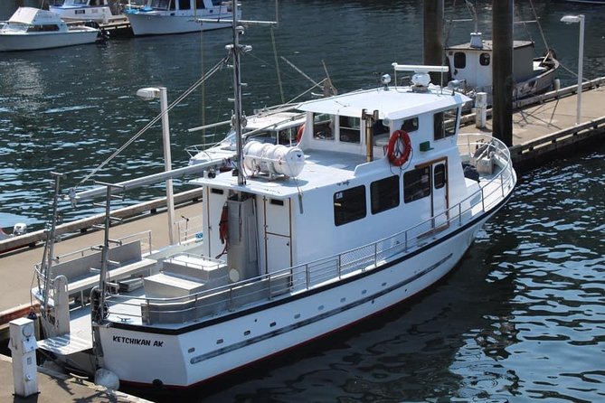 Wildlife Viewing Sightseeing and Whale Watching Quest - Meeting Point at Ketchikan Visitors Bureau