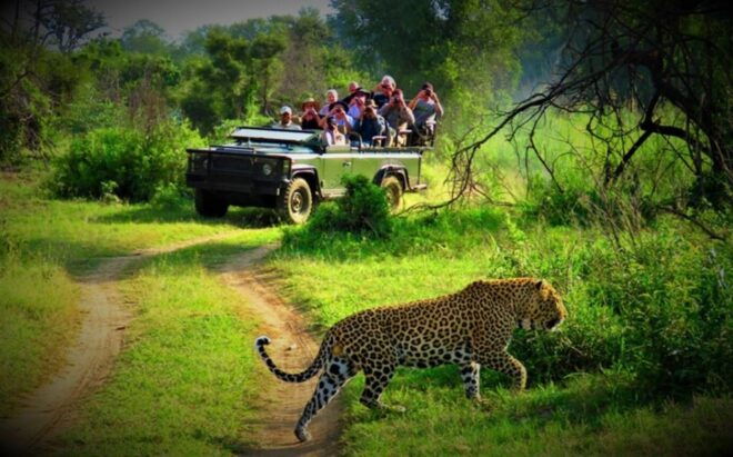 Wildlife Wonders: Private 3-Day Chitwan Safari Tour - Day 1 Highlights