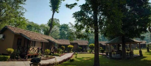 Wildlife Wonders: Private 3-Day Chitwan Safari Tour - Directions