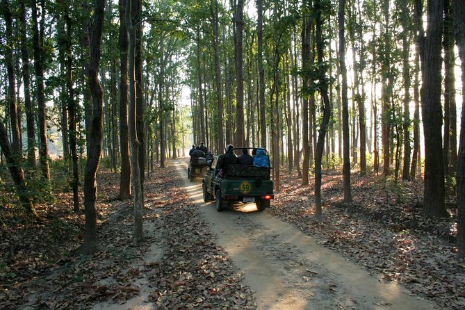 WildlifeSafari in Tadoba, Pench, Kanha & Bandhavgarh NationalPark - Exclusions
