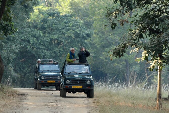 WildlifeSafari in Tadoba, Pench, Kanha & Bandhavgarh NationalPark - Frequently Asked Questions