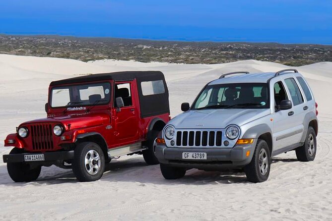 WildX Drive in 4x4 Sandboarding Atlantis White Dunes in Cape Town - Activity Overview