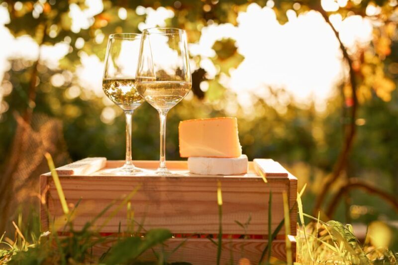 Willamette Valley Wine Tour - Authentic Guest Insights