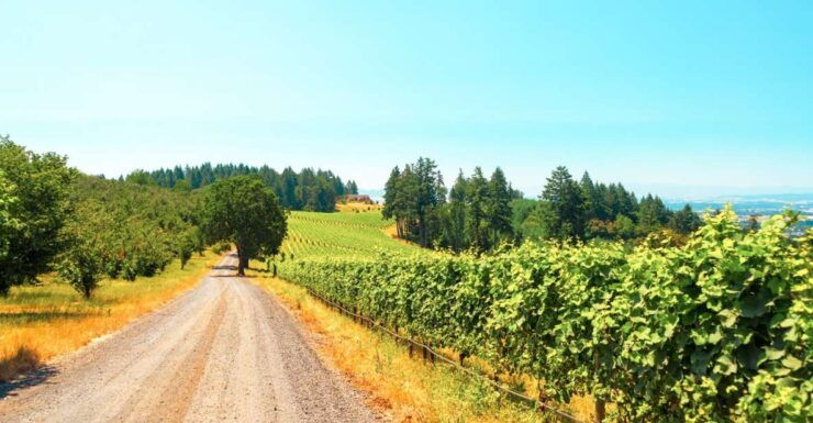 Willamette Valley Wine Tour (Tasting Fees Included) - Activity Details