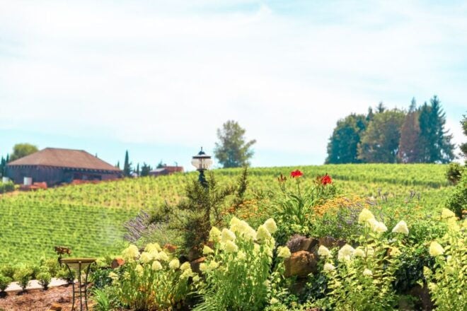 Willamette Valley Wine Tour (Tasting Fees Included) - Customer Reviews