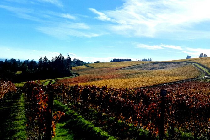 Willamette Valley Wine Tour With Lunch - Common Questions