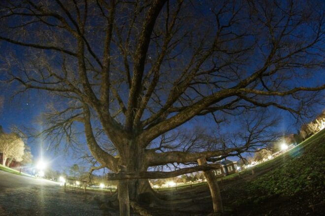 Williamsburg: Bone-chilling Colonial Ghost Tour - Inclusions and Amenities