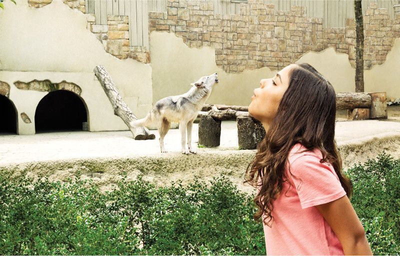 Williamsburg: Busch Gardens Ticket & Water Country Option - Animal Encounters and Education