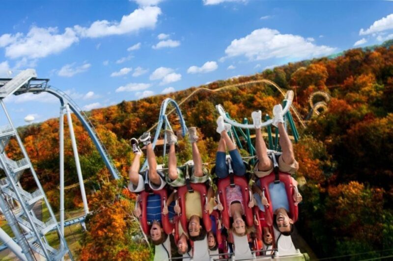 Williamsburg: Busch Gardens Ticket & Water Country Option - Animal Exhibits and Educational Opportunities