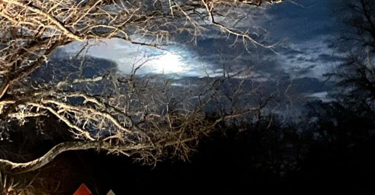 Williamsburg: Dead of Night Ghost Walking Tour - Tour Details