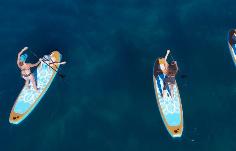 Willow Beach: Paddle Board Rental - Good To Know