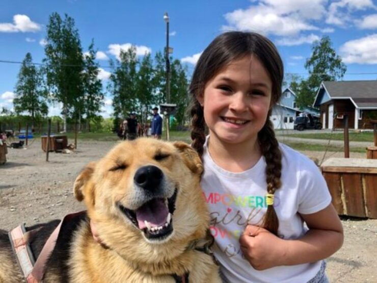 Willow: Summer Dog Sledding Ride in Alaska - Experience