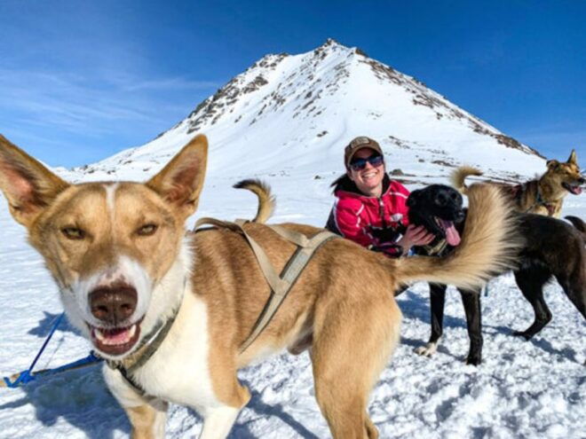 Willow: Traditional Alaskan Dog Sledding Ride - Full Description