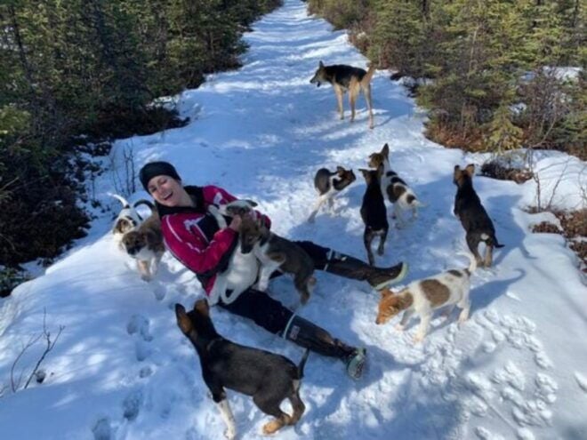 Willow: Traditional Alaskan Dog Sledding Ride - Directions