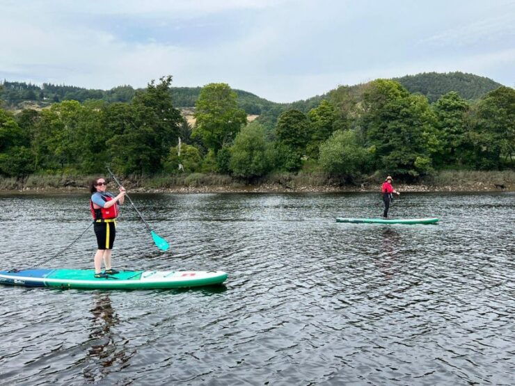 Willowgate to Newburgh Paddleboard Tour - Tour Overview