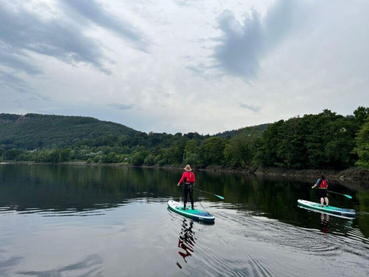 Willowgate to Newburgh Paddleboard Tour - Booking Information