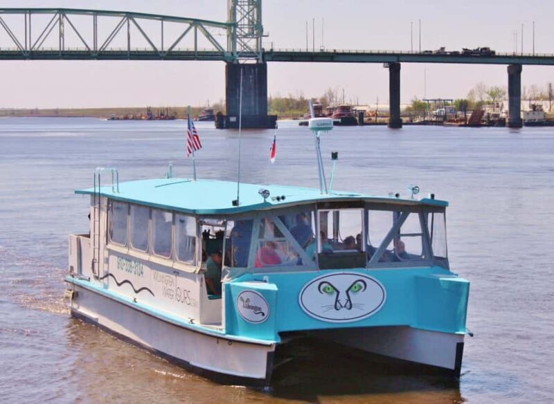 Wilmington: Eagles Island Cruise--Eco-History Cruise - The Two Route Options: North and South