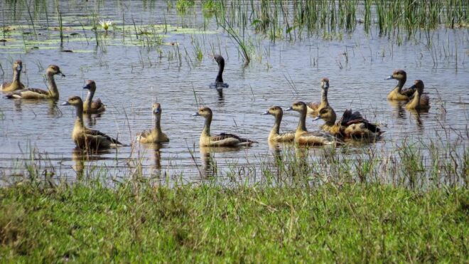 Wilpattu National Park: 3-Hour Morning or Evening Safari - Customer Reviews