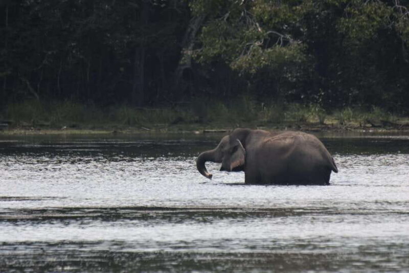 Wilpattu National Park : 5 Hours & 12 Hours Day Tours - FAQ