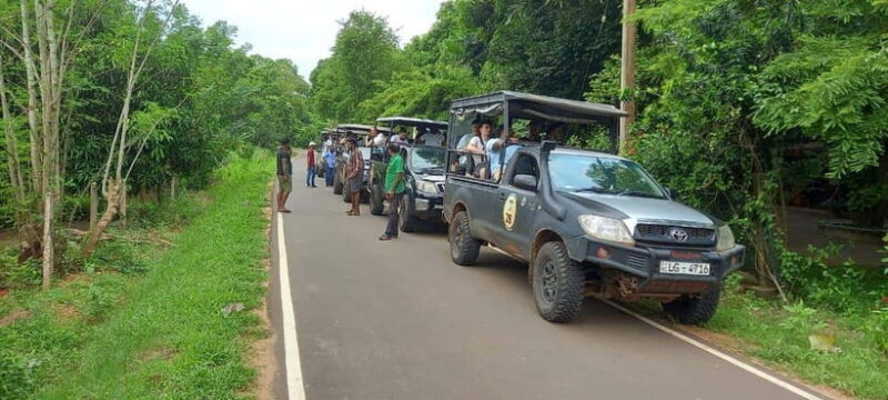Wilpattu National Park : 5 Hours & 12 Hours Day Tours - FAQ