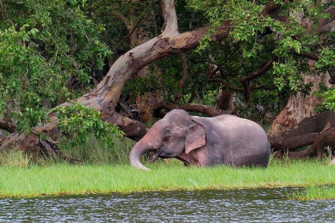 Wilpattu National Park Entrance Ticket with Private Safari - FAQ