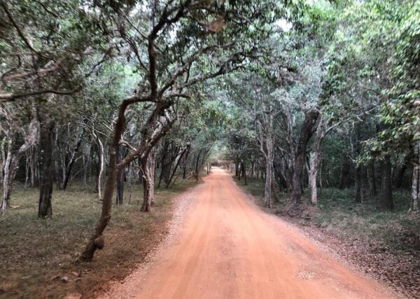 Wilpattu National Park Excursion From Hunuwilagama Entrance - Customer Reviews and Ratings