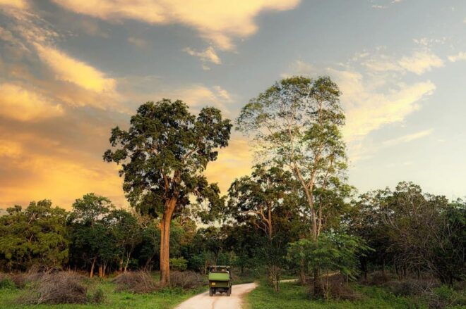 Wilpattu National Park : Full Day Safari (06:00am - 18:00pm) - Booking Process