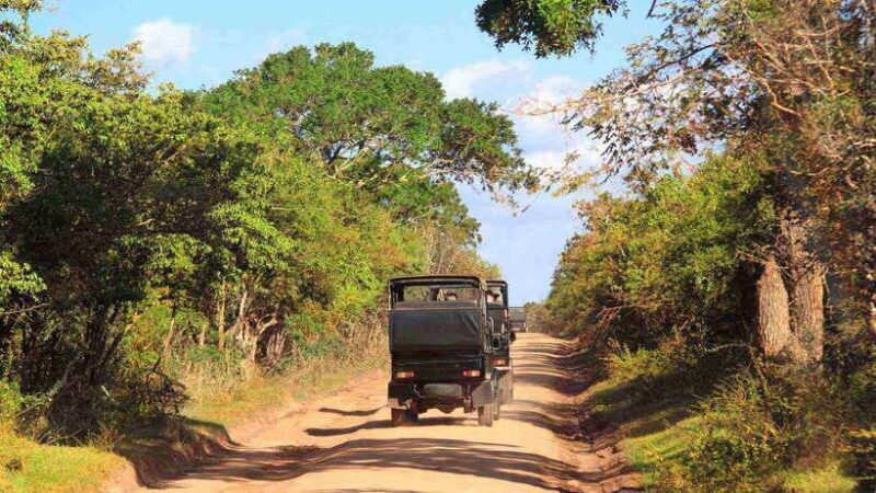 Wilpattu National Park: Full-Day Safari From Trincomalee - Practical Tips for Your Safari