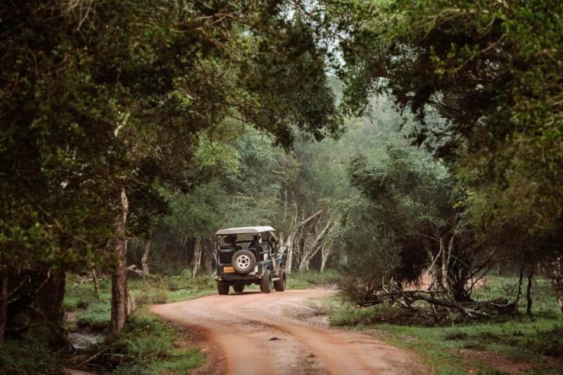 Wilpattu National Park Full Day Safari - Why choose this tour?