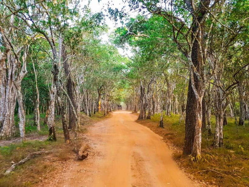 Wilpattu National Park Full Day Safari - FAQs