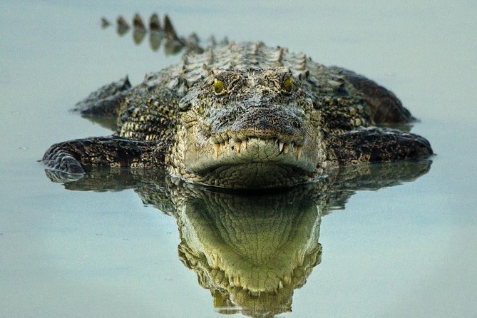 Wilpattu National Park Jeep Safari From Wilpattu - Meeting and Pickup Details