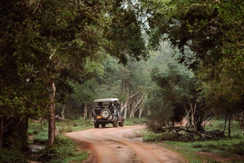 Wilpattu National Park: Private Safari - FAQ
