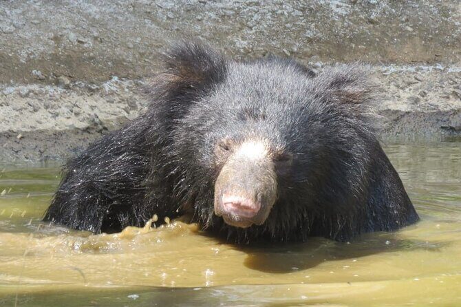 Wilpattu National Park | Private Safari Tours - FAQ