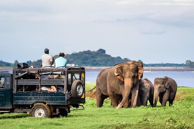 Wilpattu National Park Safari, Budget Tour from Colombo - FAQ