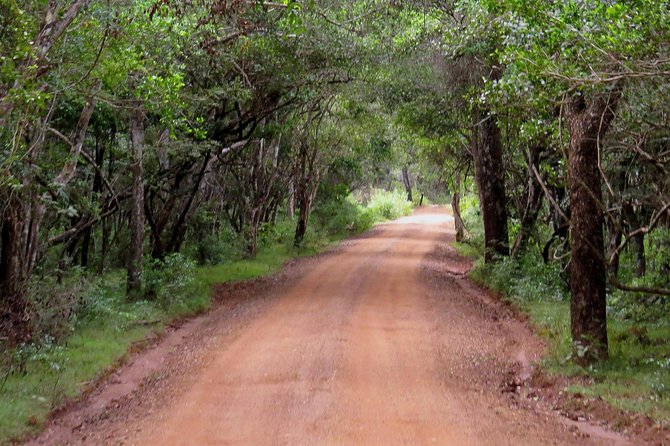 Wilpattu National Park Safari From Negombo - Traveler Restrictions and Recommendations