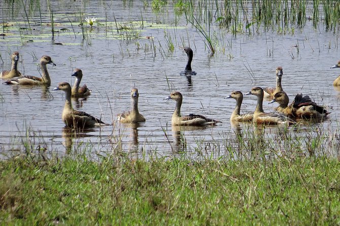 Wilpattu National Park Safari From Negombo - Private Tour Exclusivity