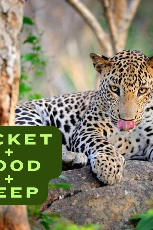 Wilpattu National Park Safari Jeep Tour - The Sum Up