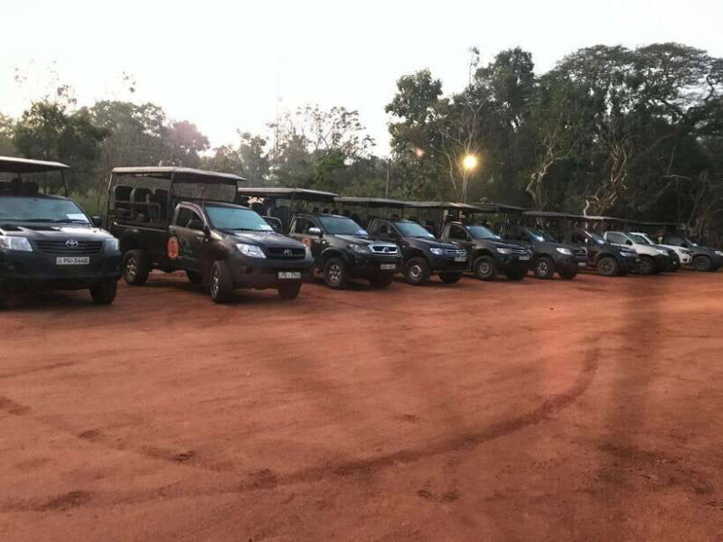 Wilpattu National Park Safari - What Makes Wilpattu National Park Special?