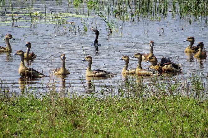 Wilpattu National Park Safari With Naturalist - Booking and Pricing Details