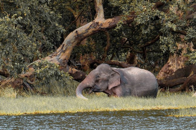 Wilpattu National Park Safari With Naturalist - Frequently Asked Questions